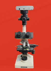 唐山偉業(yè)塑料有限公司，化纖色母粒，丙綸色母粒，色母粒，無(wú)紡布色母粒，ASA共擠色母料，熔噴料